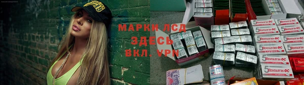 прущие грибы Алзамай