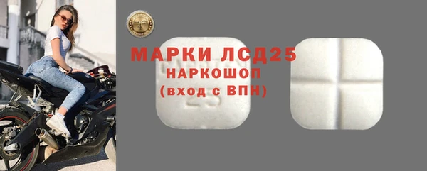 прущие грибы Алзамай
