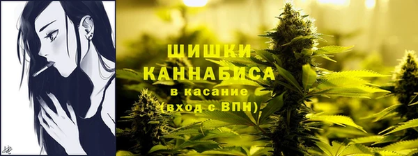 прущие грибы Алзамай