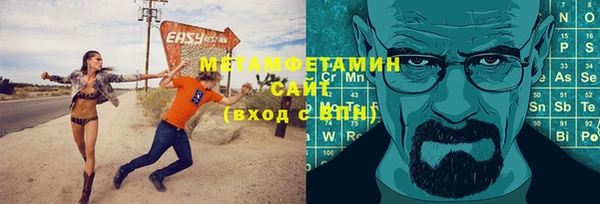 прущие грибы Алзамай