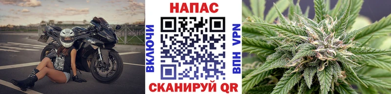 Конопля семена  blacksprut как войти  Олонец 